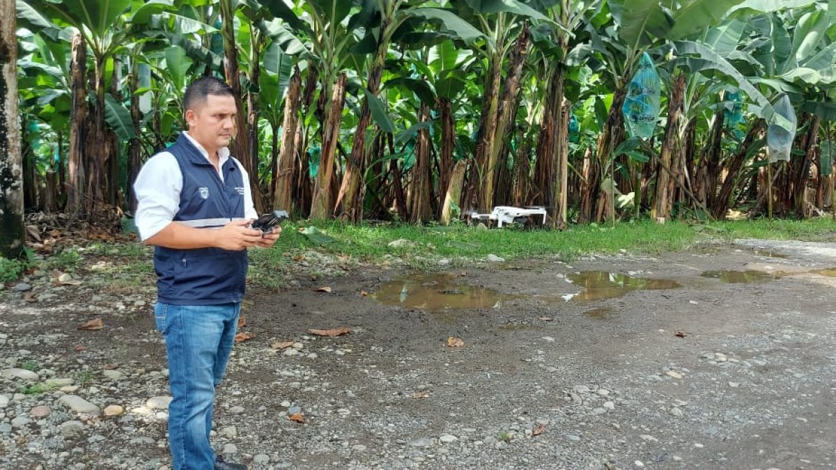 Técnico de Agrocalidad operando un dron.