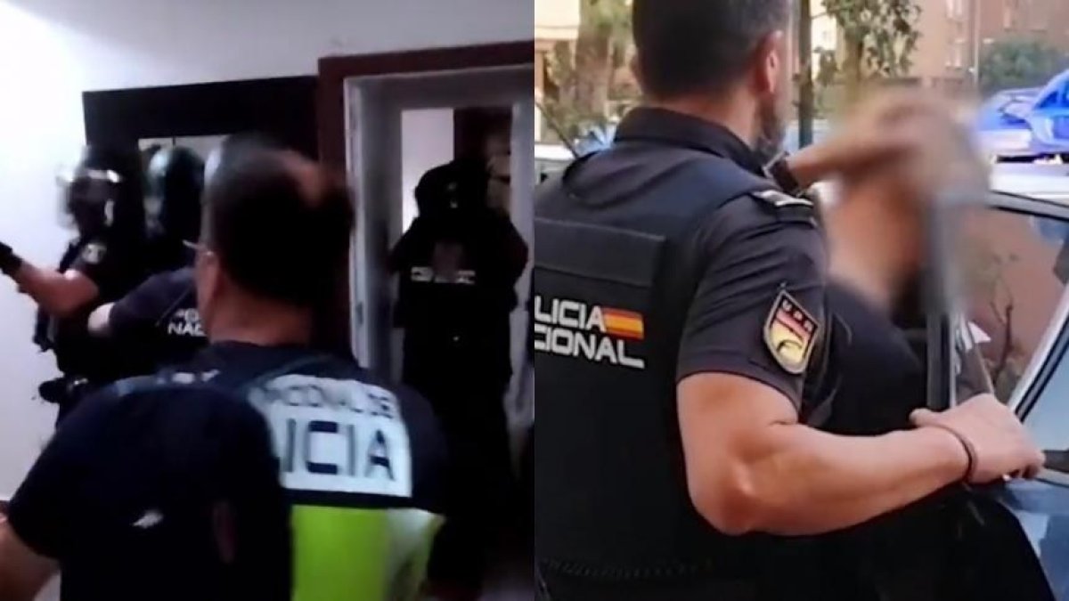 La operación se desarrolló en Alicante (este) y entre los detenidos se hallan los dos jefes de la trama.