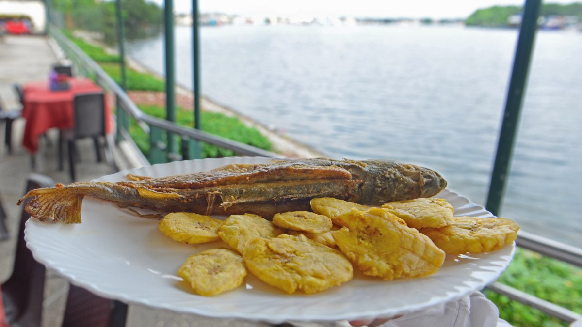 Favorito. Entre los platos más solicitados está la corvina frita, que tiene un valor de ocho a nueve dólares, dependiendo de su tamaño. También se vende el filete de picudo.