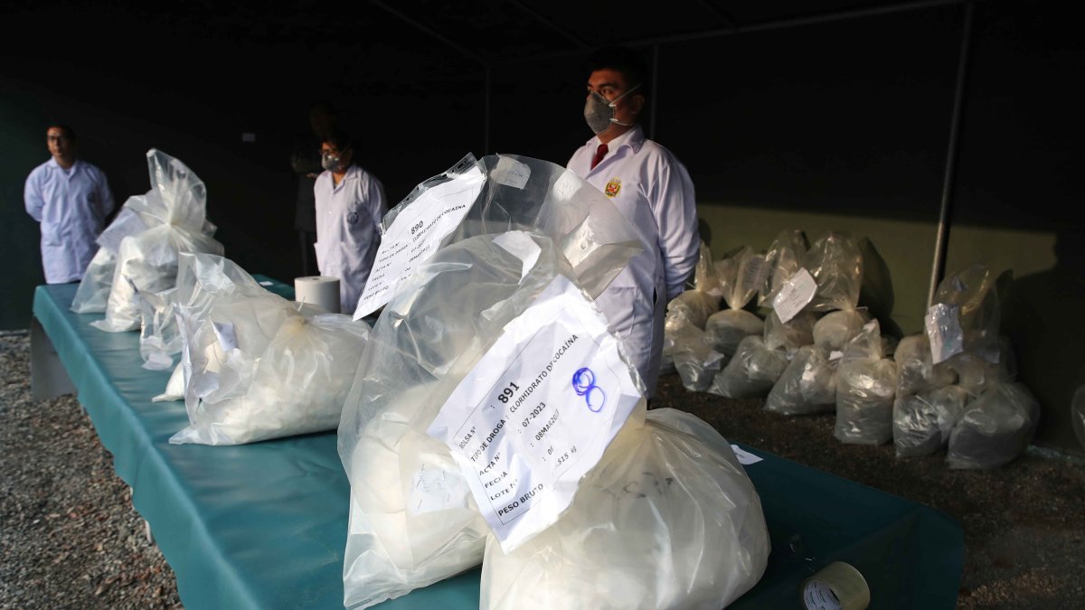 Varios expertos. Participan en la destrucción de cargamentos de drogas decomisadas, en Lima, Perú.