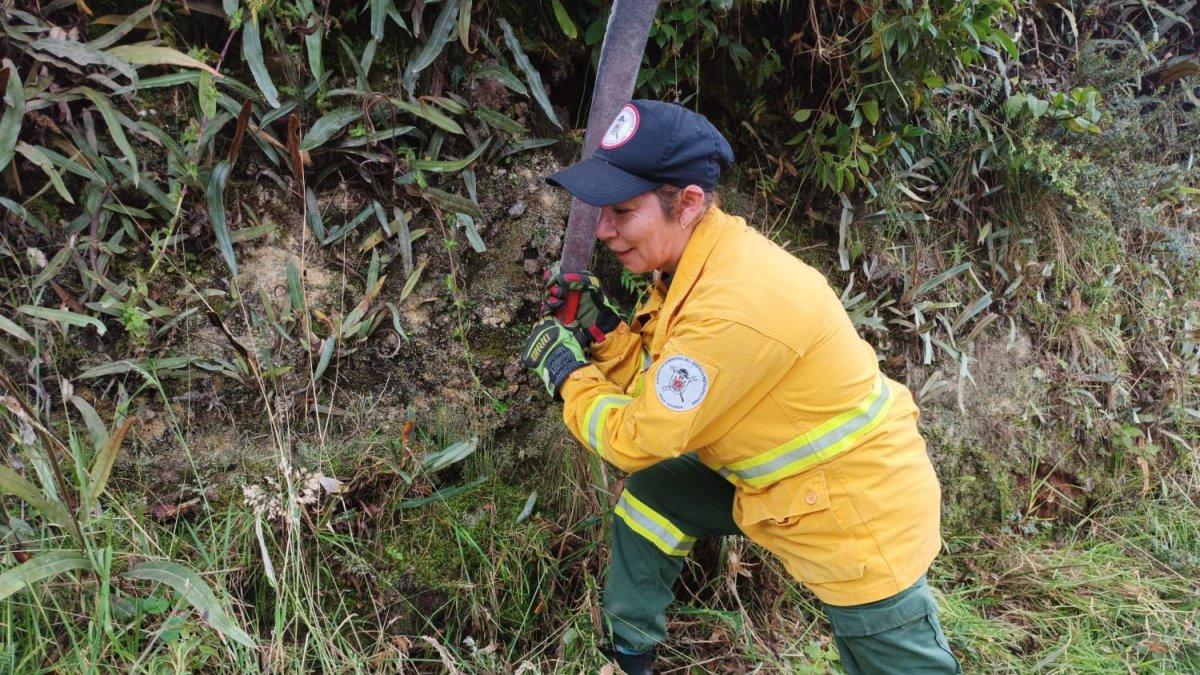Minga. Brigadistas colaboran con la comunidad en Nono.
