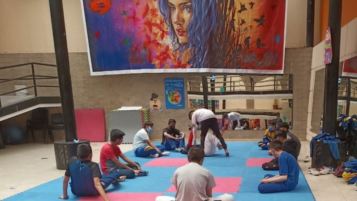 Cursos. Los programas serán dirigidos por expertos en la materia, en los establecimientos municipales asignados