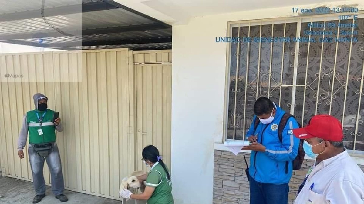 Un juez dictaminó 3 años de cárcel y 40 horas de trabajo comunitario para el dueño del can.