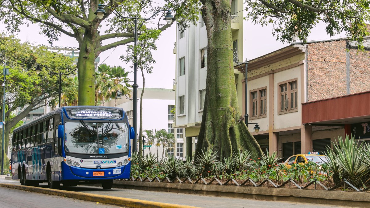 Trayecto. La ruta cubre un total de 2,3 kilómetros, en el centro.