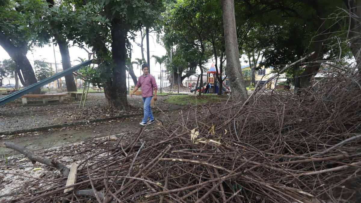 Quienes visitan los parques de Albatros deben caminar por senderos resbaladizos por el moho que los cubre, debido a la falta de limpieza y mantenimiento.