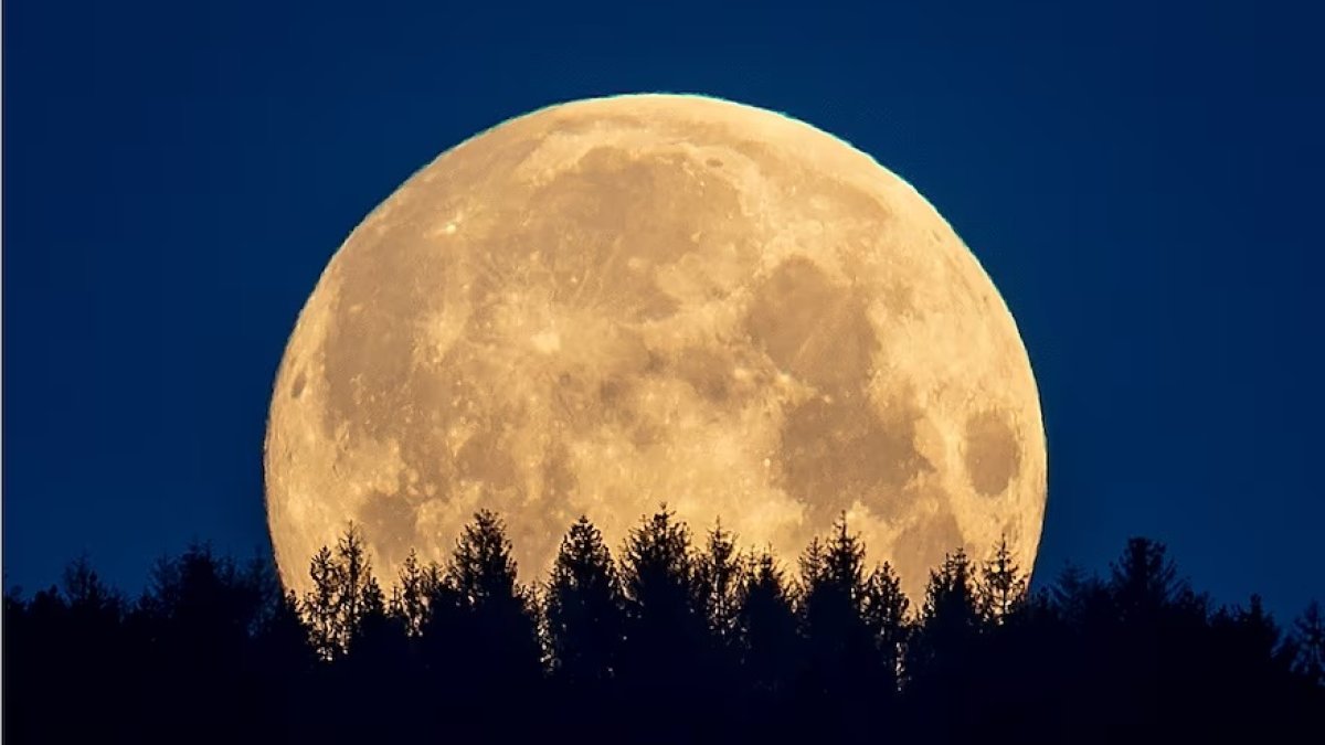 Este fenómeno es conocido como la 