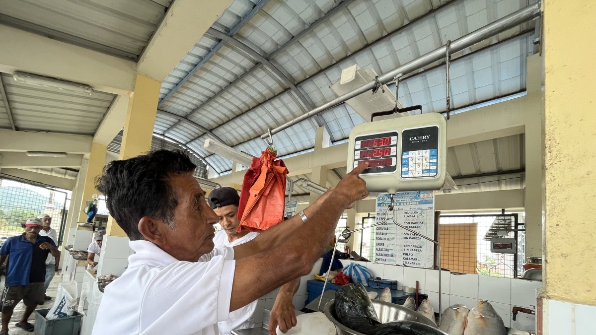 Dorado. En los mercados se encuentra la libra de dorado desde 1,80 dólares.