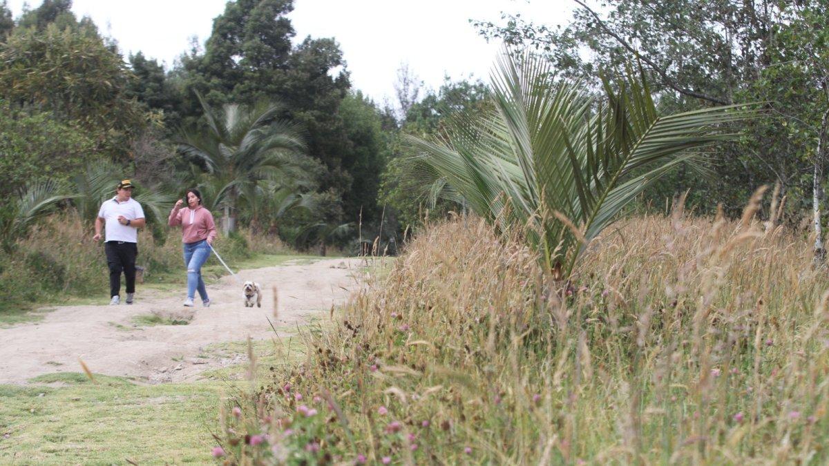 Caminatas. Los meses de verano aumentan en la capital las actividades al aire libre.
