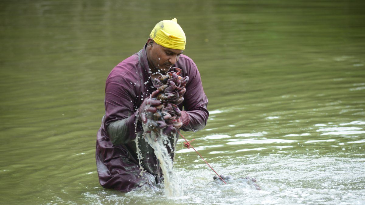 Una vez que Xavier Pérez arma el atado, los lava en el estero; su jornada empieza a las 07:00.