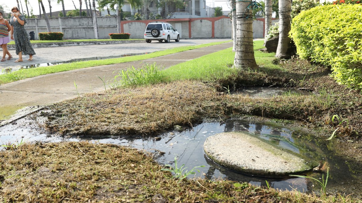 Reclamos. Los vecinos se quejan por el mal estado de algunos pozos sépticos.