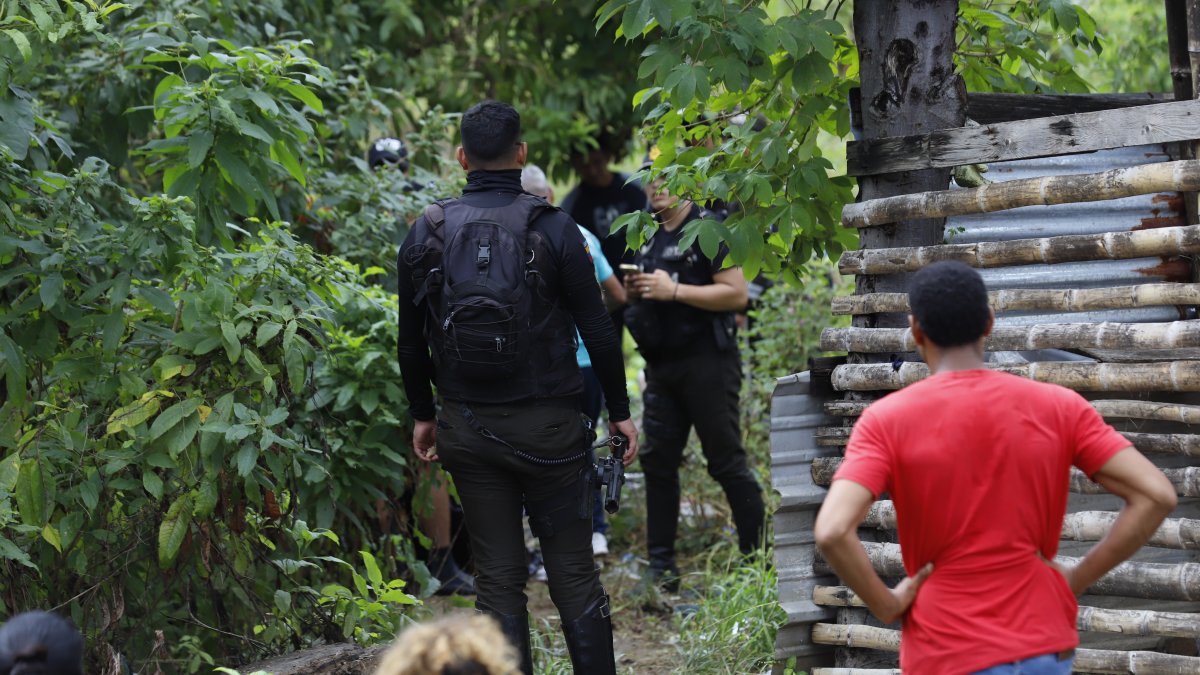 Descubrimiento. Los moradores quedaron atemorizados por este descubrimiento.