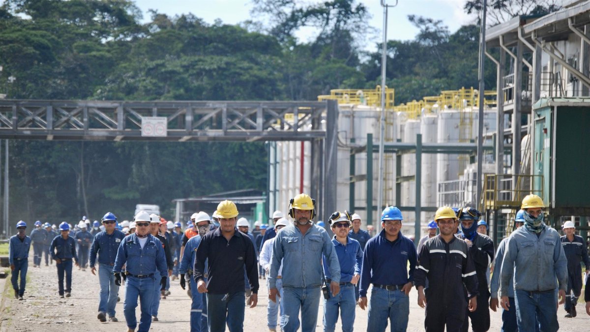 Trabajadores de la estatal Petroecuador participan en un simulacro de emergencia en el Bloque 43-ITT, el 21 de junio de 2023 en el Parque Nacional Yasuní (Ecuador).