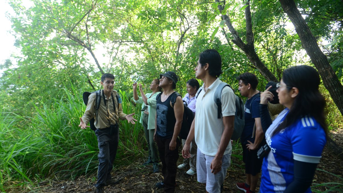 Senderismo. Siete personas guiadas por Jaime Arellano recorrieron el bosque, en la mañana del domingo pasado.