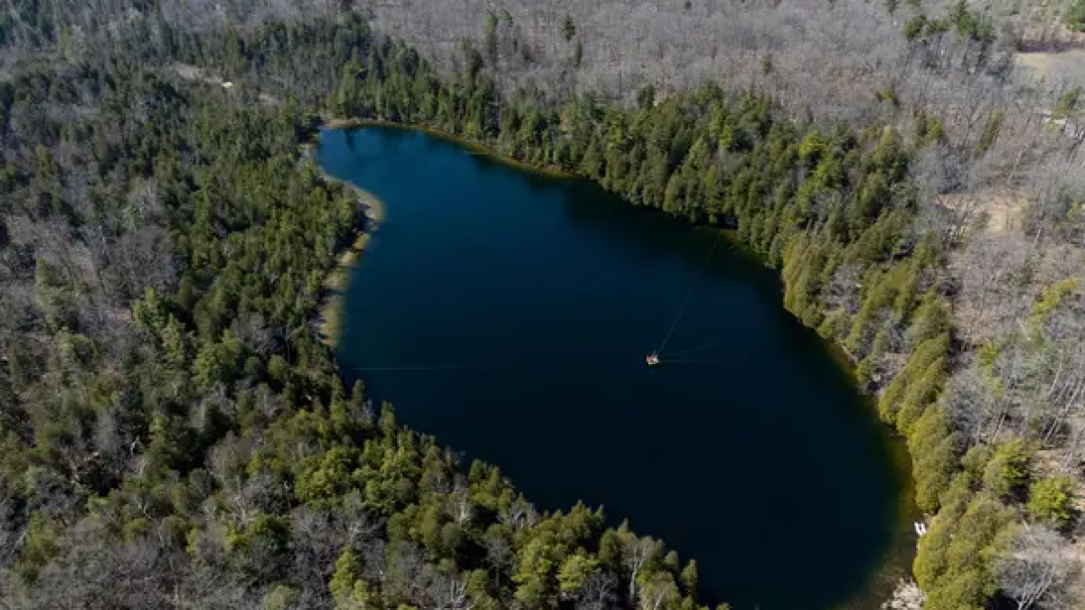 Un amplio grupo de expertos cree que el 'Antropoceno' dio inicio en la década de 1950.