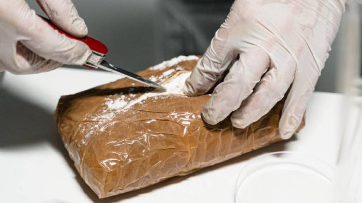 La Policía de España incautó 100 kilos de droga que fueron enviados desde Ecuador. Se detuvo a 12 personas