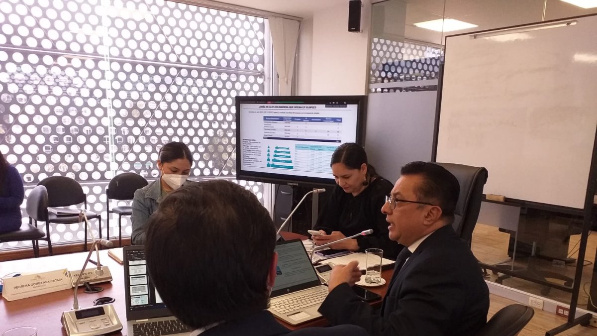 Caso. Mireya Pazmiño dijo que el informe borrador del juicio a Lasso fue hecho por Mario Naranjo y los técnicos.