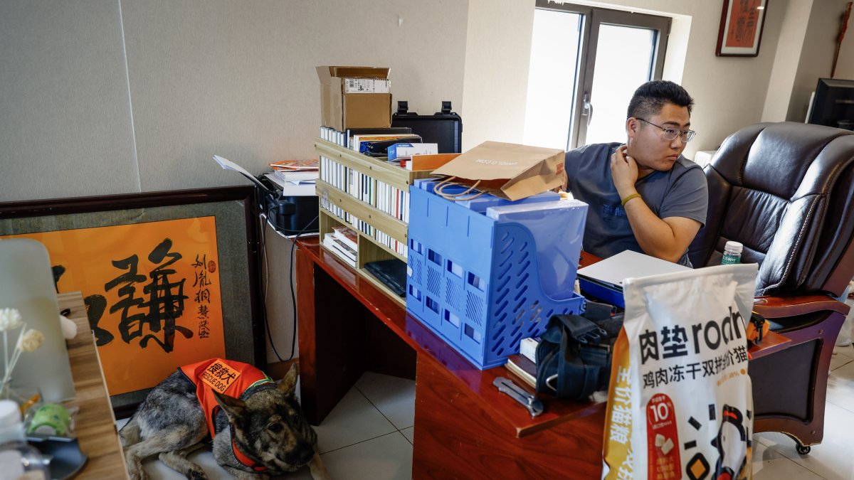 Pekín. Liu Yin Tong, de la empresa de rescate ‘Lan Ling’, en su oficina, junto a un can colaborador.