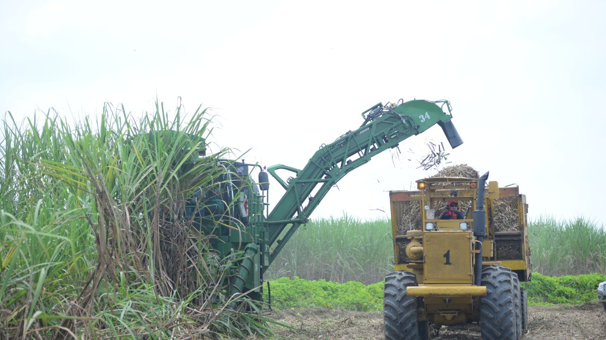 Carreteras. Los agricultores se quejan del mal estado de las vías.