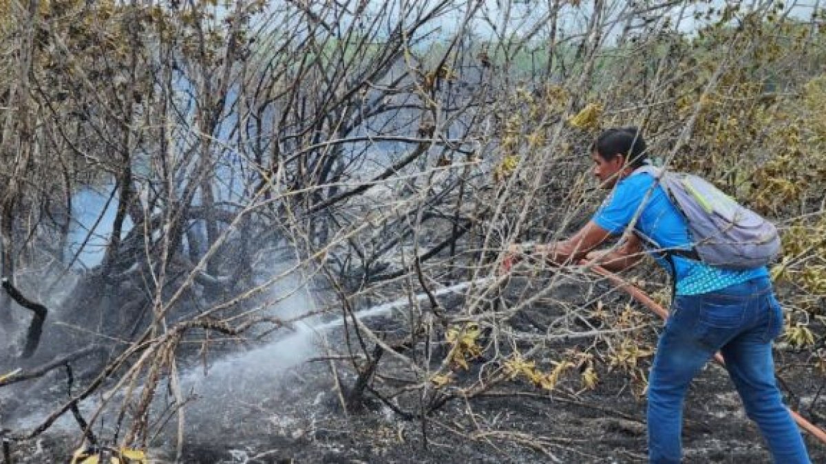 Daño. Se cree que los restos de una fogata generó el hecho.
