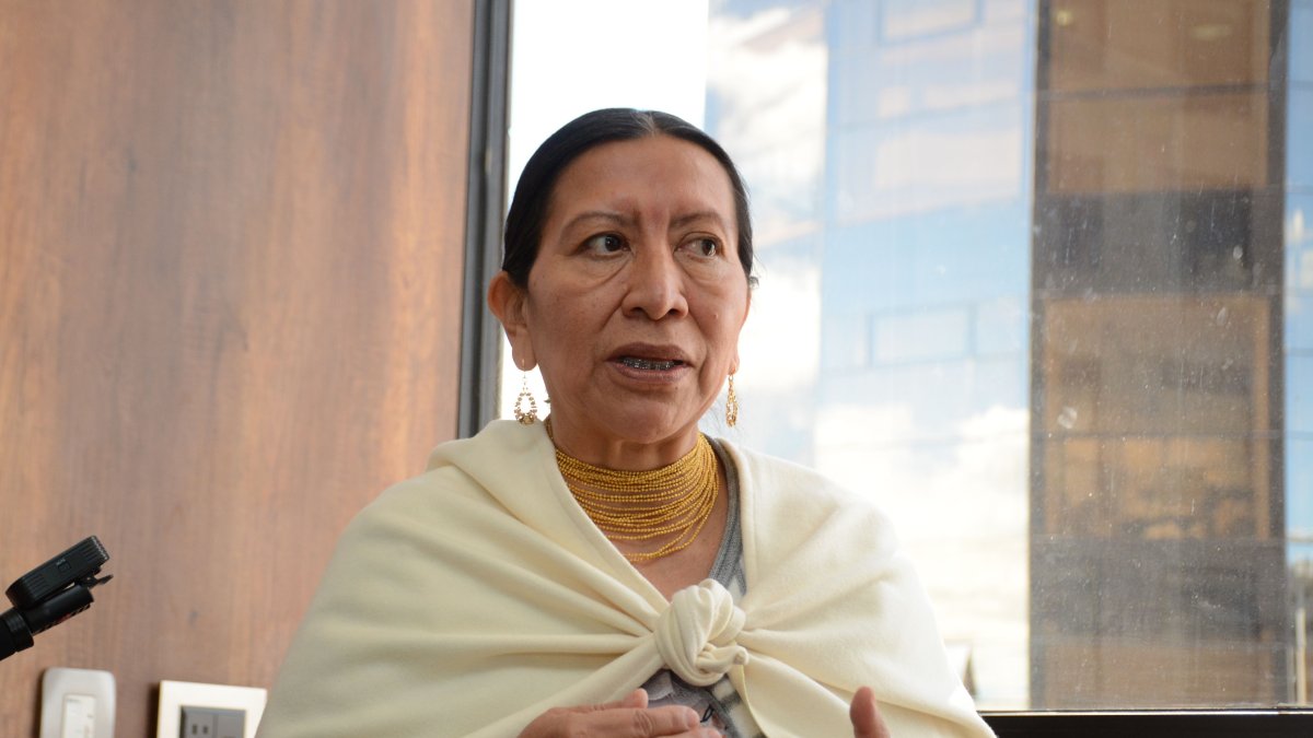 Luz Marina Vega, candidata a la Vicepresidencia por la lista 33 Movimiento Renovación Total - RETO.