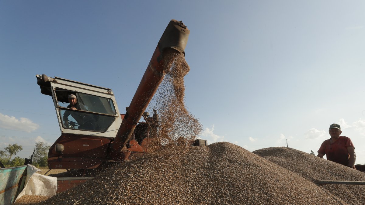 Agricultores arrojan grano de una cosechadora combinada durante una cosecha cerca de Kiev, Ucrania, el 18 de julio de 2023.