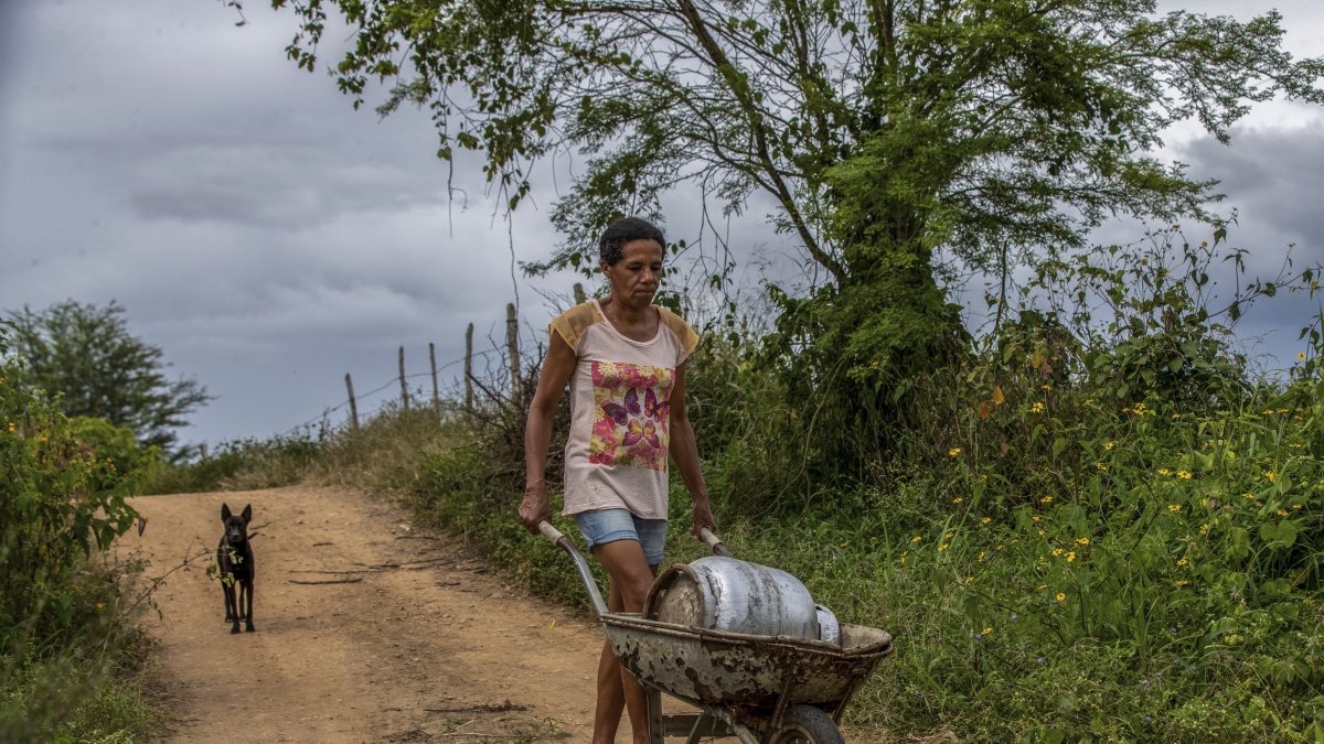Campo.- Una persona camina por un camino del agro de Brasil.