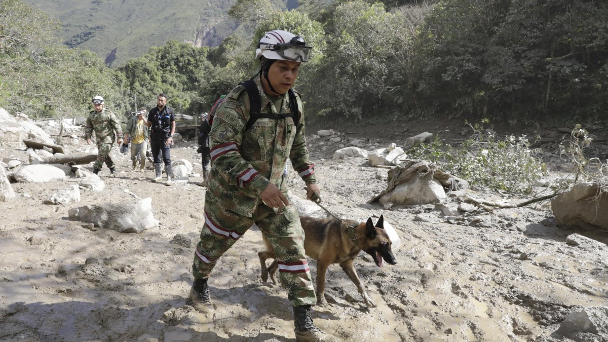 Un integrante del Ejército de Colombia busca sobrevivientes con un perro de rescate hoy, en el sitio de una avalancha en Quetame (Colombia).