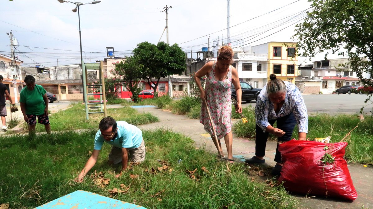 Parques. Los parques están llenos de maleza; los árboles y plantas están enfermos con la cochinilla. Los residentes realizan mingas para recuperarlos.