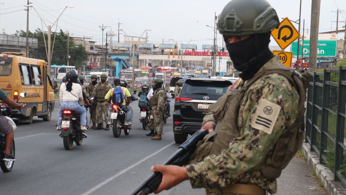 Disposición. Las Fuerzas Armadas y la Policía Nacional podrán utilizar las armas que han sido decomisadas en operativos.