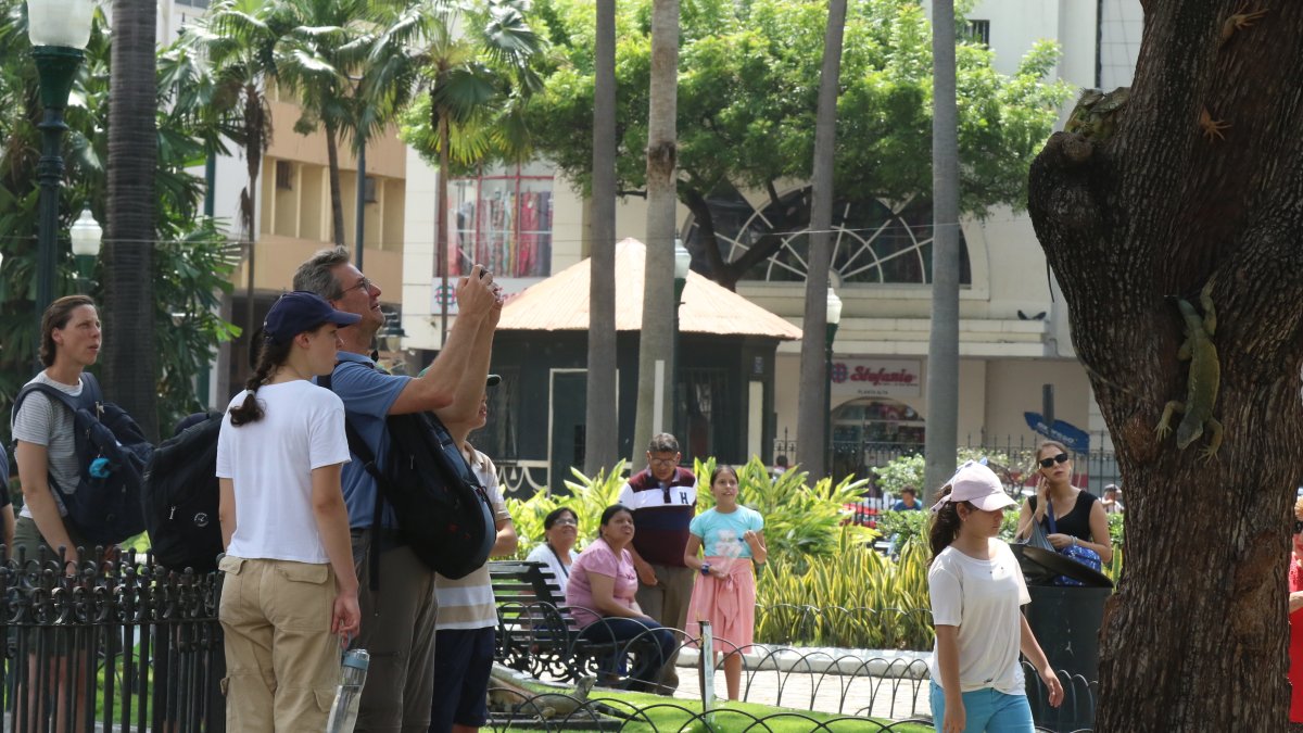 Parque Seminario. Ubicado en el centro de la urbe, es hogar de decenas de iguanas que pasean libremente, convirtiéndose en atractivo turístico.