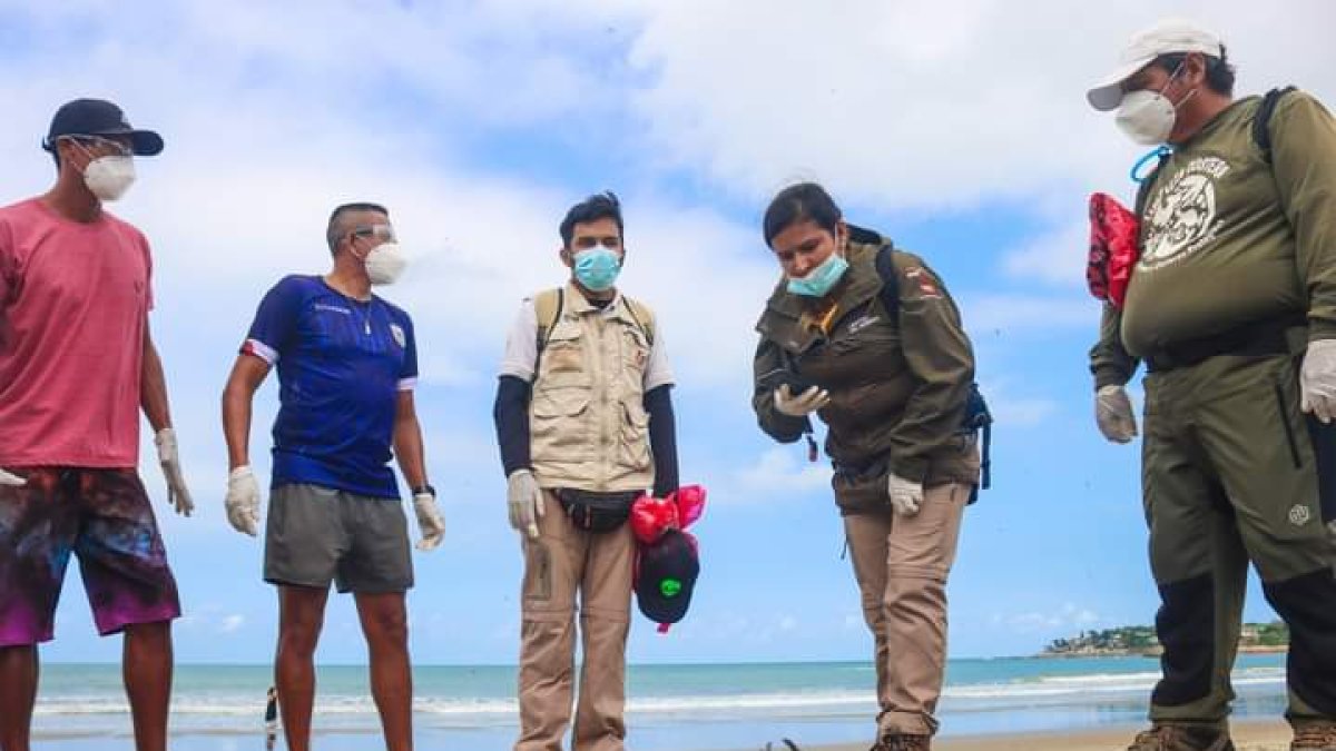 Suceso. Especialistas en el tema han recogido algunas aves muertas.