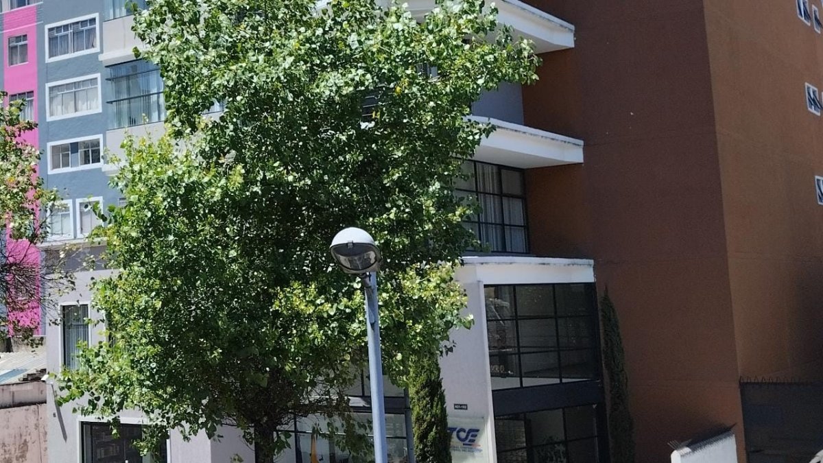 Disposición. El tribunal Contencioso Electoral (TCE) resolvió el caso presentado contra el exministro.