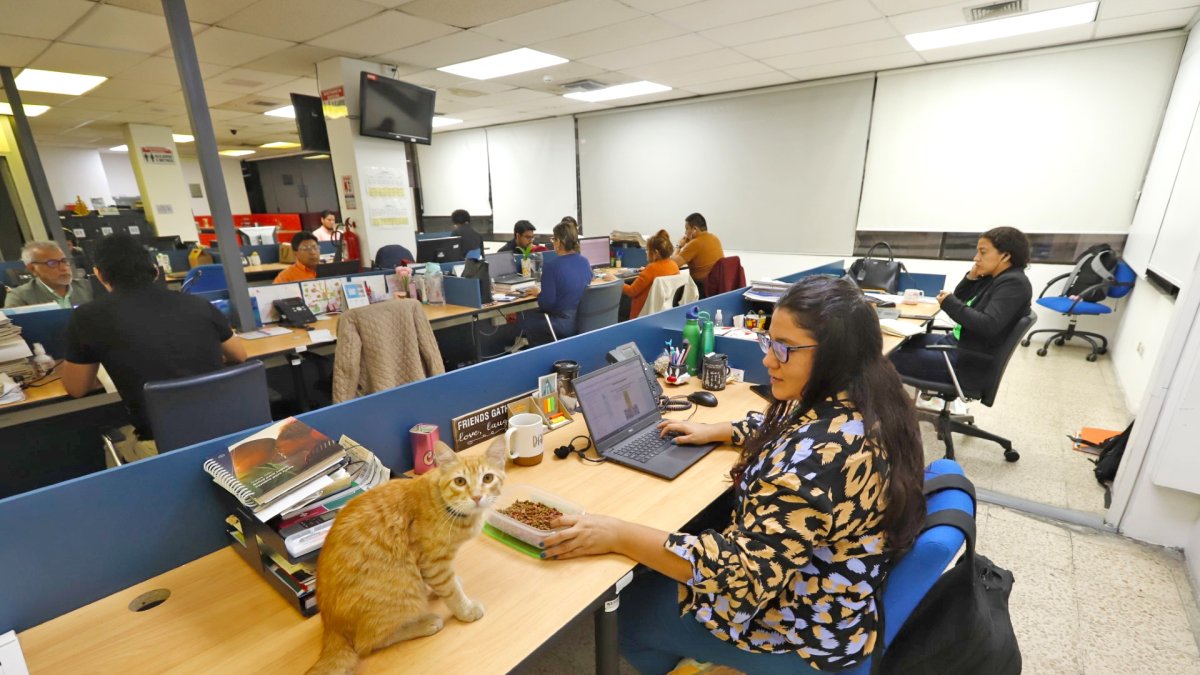 REDACCIÓN. celosamente por el nuevo integrante: El Colorado.