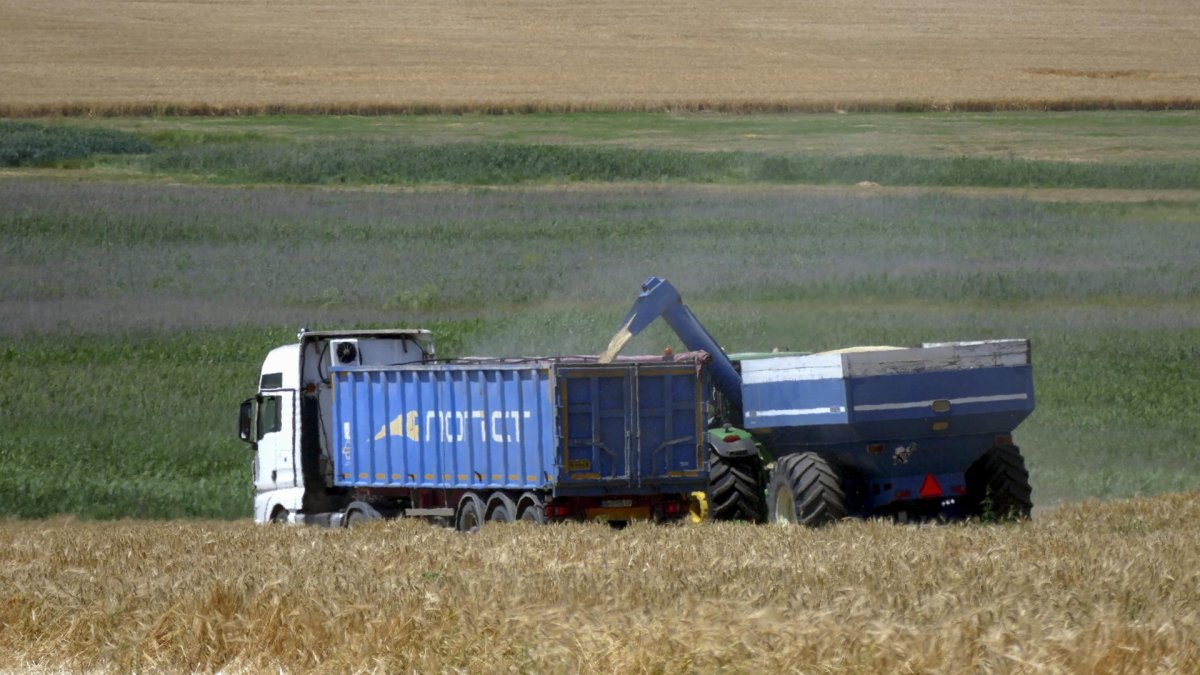 El pasado 17 de julio Moscú suspendió del acuerdo de exportación de grano a través del mar Negro desde puertos ucranianos.