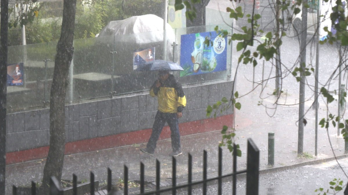 Presencia. Una o dos veces por mes se reportarán en las zonas donde prevalece el clima seco