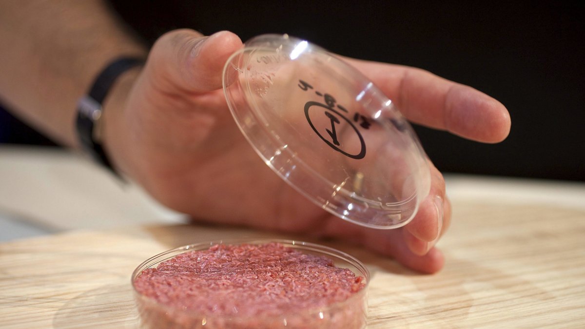 Proteína.- La carne que es creada en laboratoio.