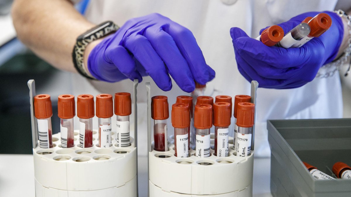 Imagen de archivo de personal técnico de laboratorio preparando unas muestras para analizar.