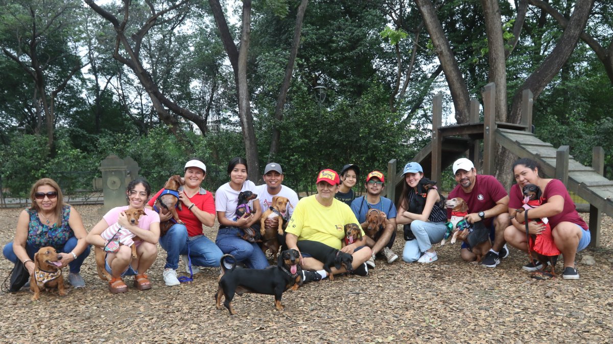 Cita mensual. Varios de los tutores llevaron a sus mascotas para el encuentro de socialización mensual que el colectivo activa en Guayaquil.