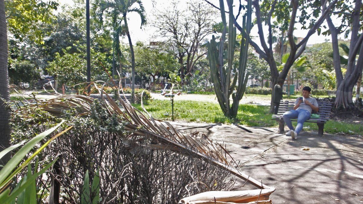 Vista. El parque Antonio Neumane luce lúgubre. Las ramas secas de las plantas invaden el predio.