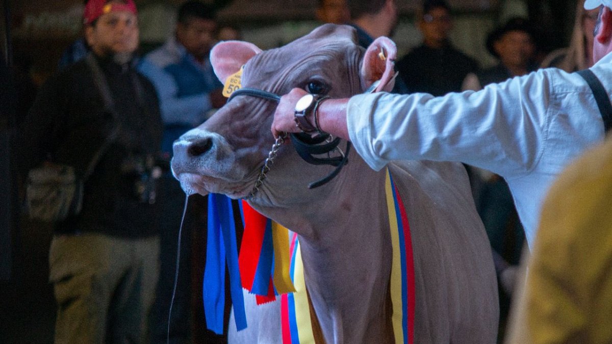 La iniciativa busca cooperar entre los actores del sector.