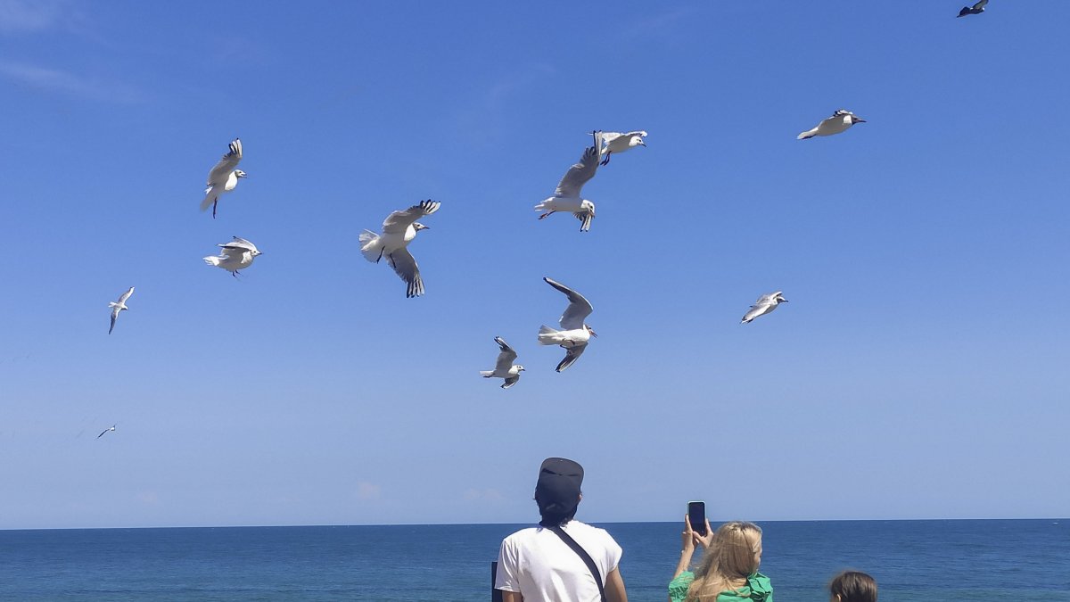 Una mujer fotografía aves en una playa de Odesa. El bloqueo ruso de los puertos de Odesa recientemente reanudado acentúa el profundo estrangulamiento de la economía de la región.