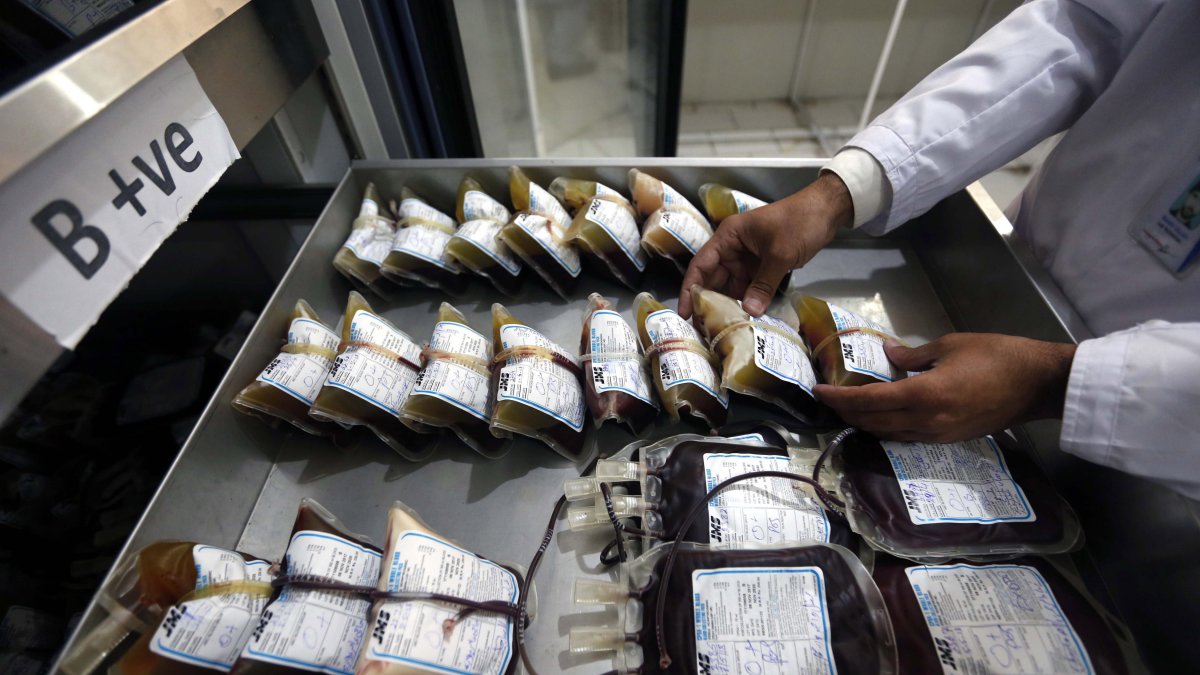 En la imagen de archivo, personal de un laboratorio toma muestras de sangre del refrigerador en un centro de transfusión.