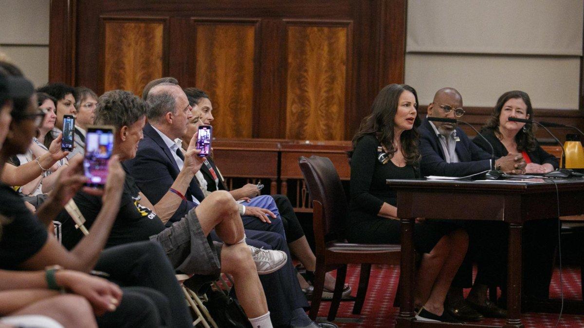 EEl actor y presidente de SAG-AFSTRA Fran Dresser (3-R) habla durante una audiencia laboral en el Ayuntamiento de Nueva York, New York, New York, Estados Unidos.