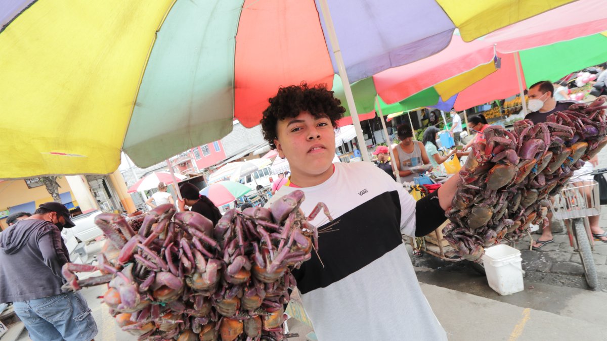 El cangrejo ya se puede comercializar en varios mercados desde el 1 de marzo