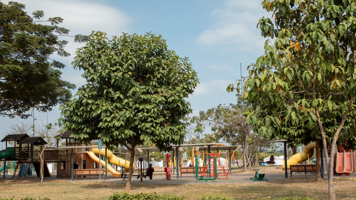 El parque Samanes tiene una extensión de 354 hectáreas, de las cuales 85 aproximadamente están intervenidas.