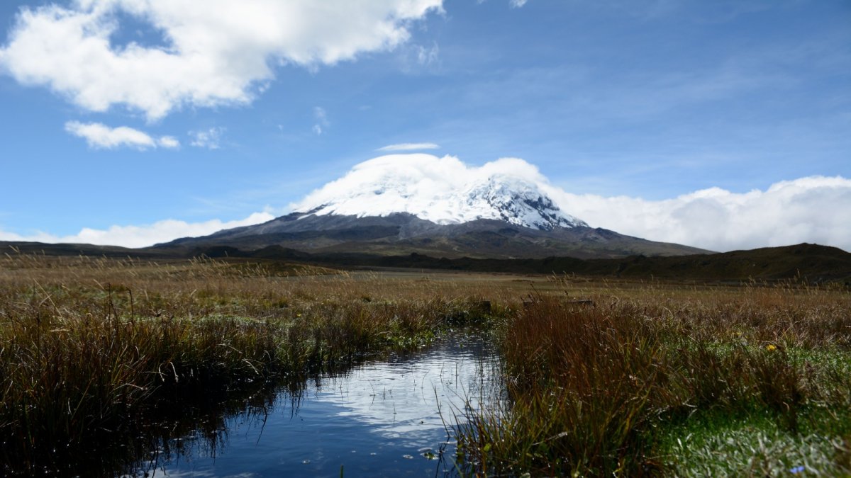 Restauración. Desde el 2015 se inició un proceso de recuperación de unas zonas que fueron destruidas por el ganado bovino y ovino, ya que el predio era una hacienda ganadera.