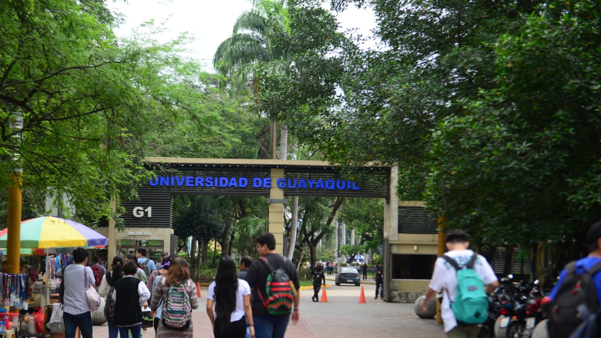 Una de las propuestas es que los universitarios puedan trabajar en ramas afines a su carrera.