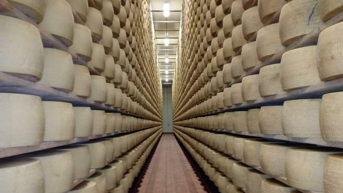 Imagen referencial de los quesos Grana Padano.