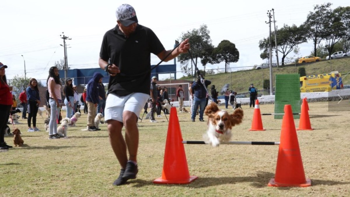Tenencia. A través de herramientas lúdicas se enseñan destrezas.
