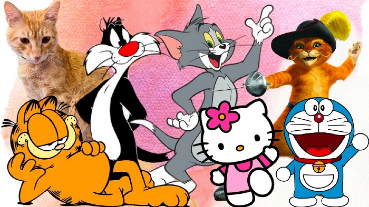 Silvestre, Tom, El gato con botas, Garfield, Doraemon y El Colorado son algunos felinos.